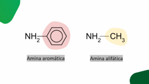 Diagrama químico mostrando a estrutura de uma amina aromática (anel benzênico ligado a NH2) e uma amina alifática (grupo CH3 ligado a NH2), ilustrando os tipos de aminas envolvidos na formação de nitrosaminas.